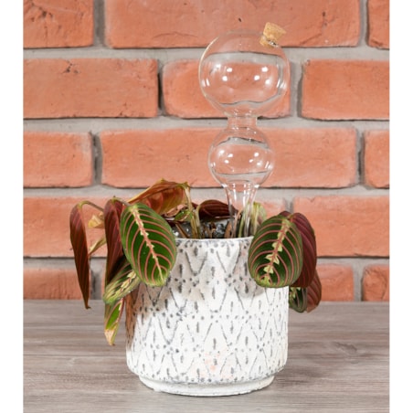 KULA NAWADNIAJĄCA do roślin kwiatów SZKLANA nawadniacz do doniczek 400ml