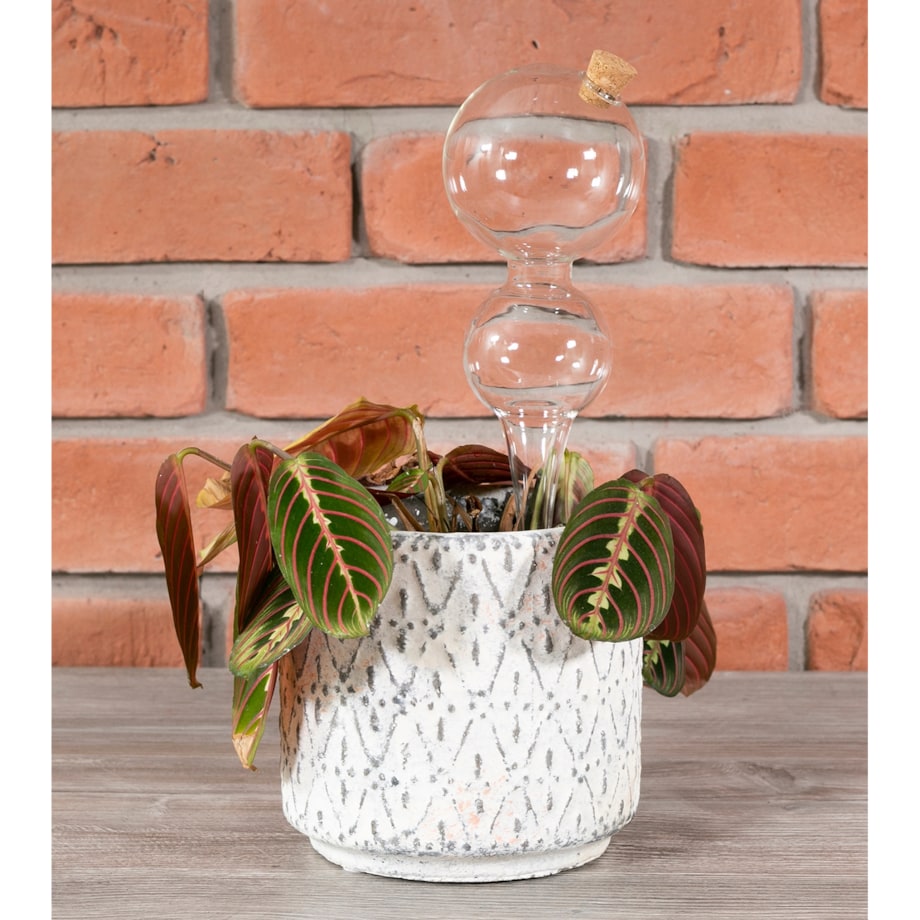 KULA NAWADNIAJĄCA do roślin kwiatów SZKLANA nawadniacz do doniczek 400ml