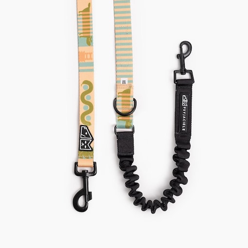 Smycz przepinana z amortyzatorem dla psa lub kota "Piesss" - Szerokość taśmy: 25mm, Rozmiar: M oraz Rodzaj: Duży karabinek