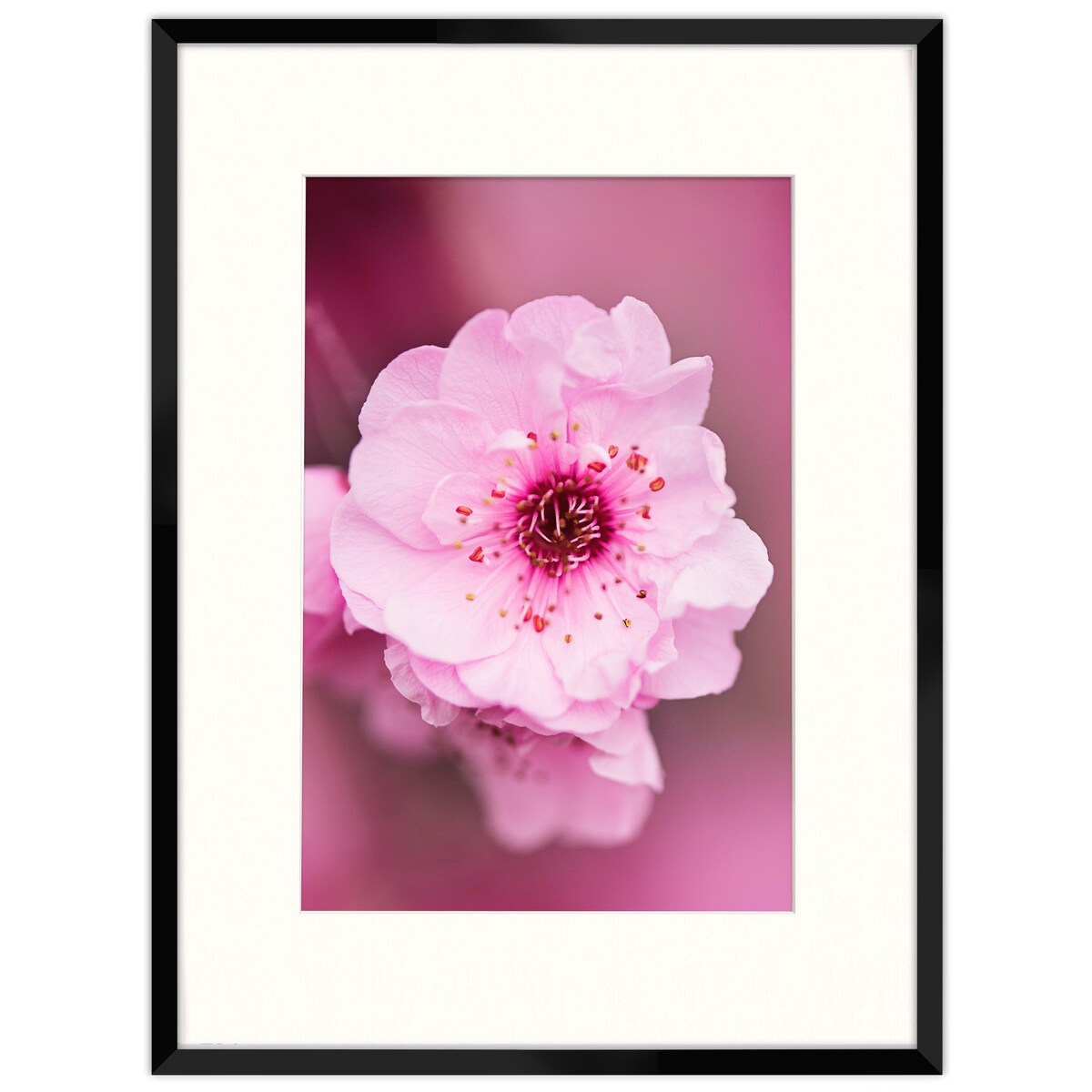 Ramka na zdjęcia z passe partout czarna ramka 60x80 cm z okienkiem passe partout na zdjęcie 40x60 cm FRAMAI