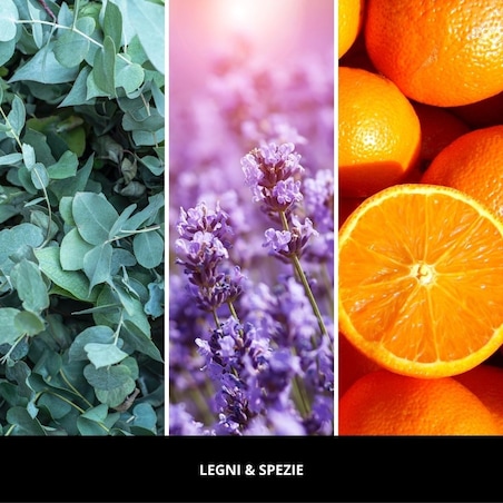 MM LED-uzupełniacz LEGNI & SPEZIE