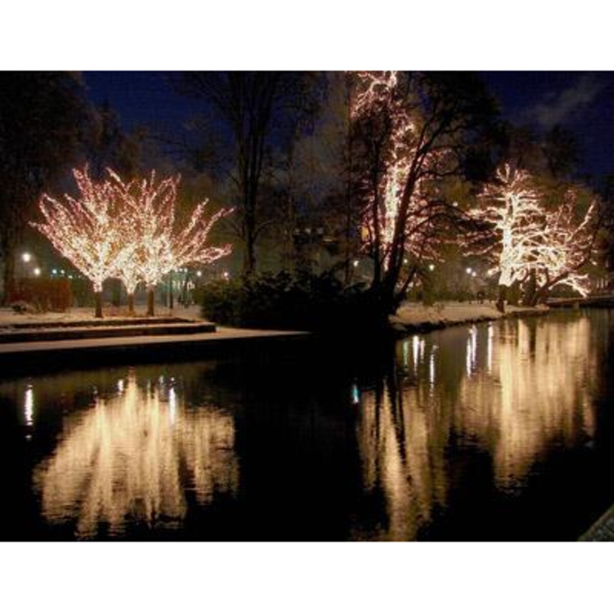 Ogrodowa dekoracja świetlna 6,5m 50 LED 0,6W ciepła