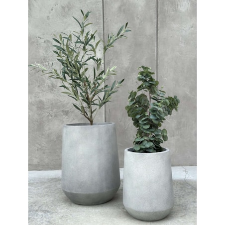 DONICZKA ODESSE TALL M