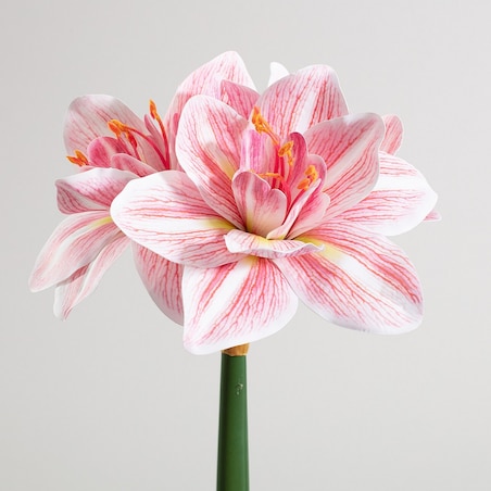 Kwiat sztuczny Amarylis 62 cm pink, 15x62 cm