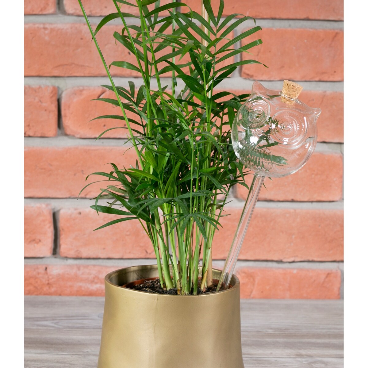 KULA NAWADNIAJĄCA sowa SZKLANA nawadniacz do doniczki kwiatów 220ml