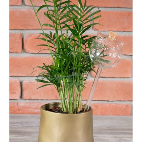 KULA NAWADNIAJĄCA sowa SZKLANA nawadniacz do doniczki kwiatów 220ml