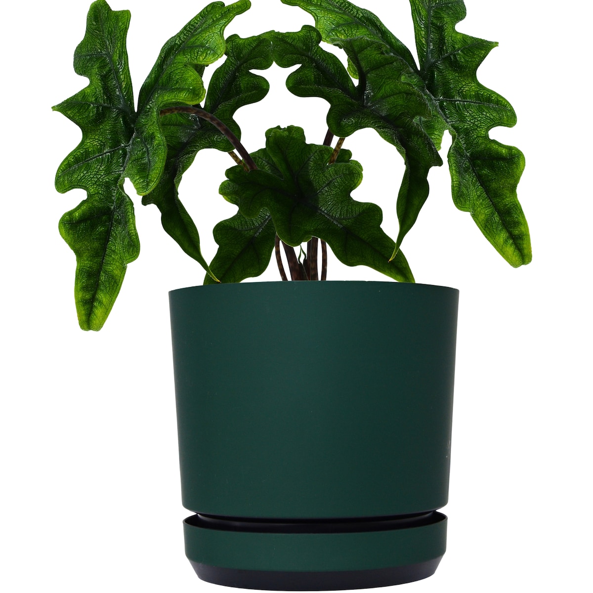 16 cm wzór ZIELONA BUTELKOWA Doniczka z podstawką ciemna zieleń satynowa matowa