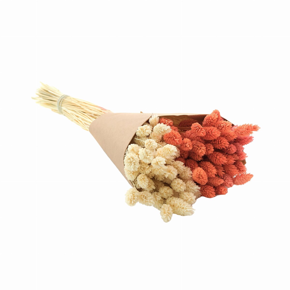 Zestaw suszonych traw biel & brzoskwinia