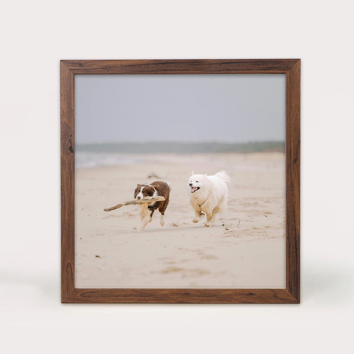 Ramka na zdjęcia 30x30 cm brązowa rama MDF z plexi do powieszenia klasyczna kwadratowa ramka FRAMAI