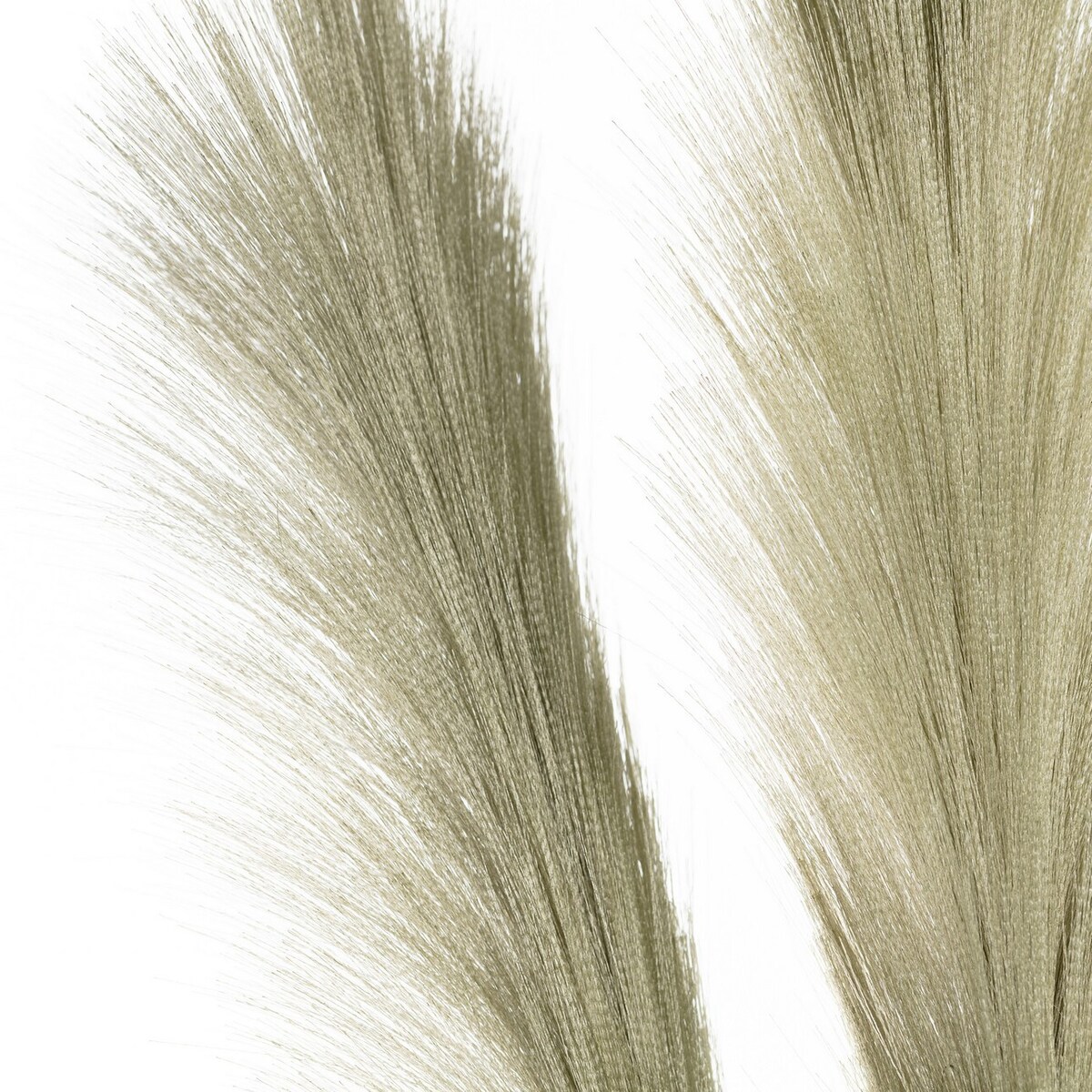 Trawa pampasowa 110cm green, 2 x 2 x 110 cm