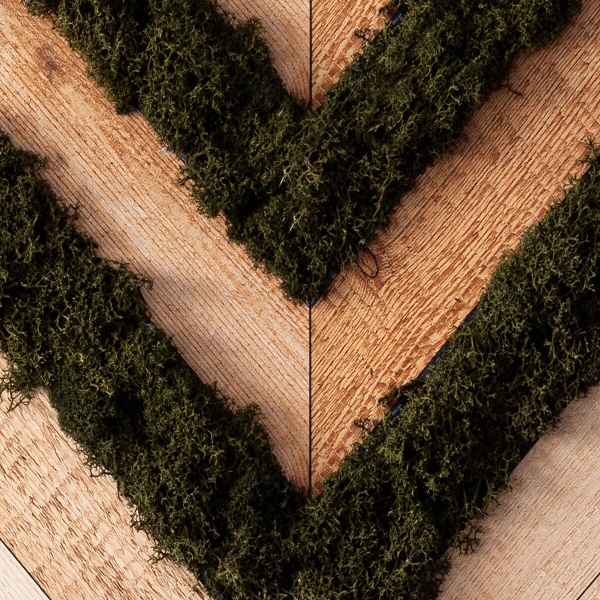 Obraz Deski w jodełkę - mech chrobotek w czarnej ramie 60x40cm