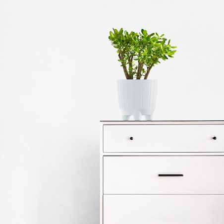 Doniczka Osłonka Okrągła Na Kwiaty 14,5 Cm Biała