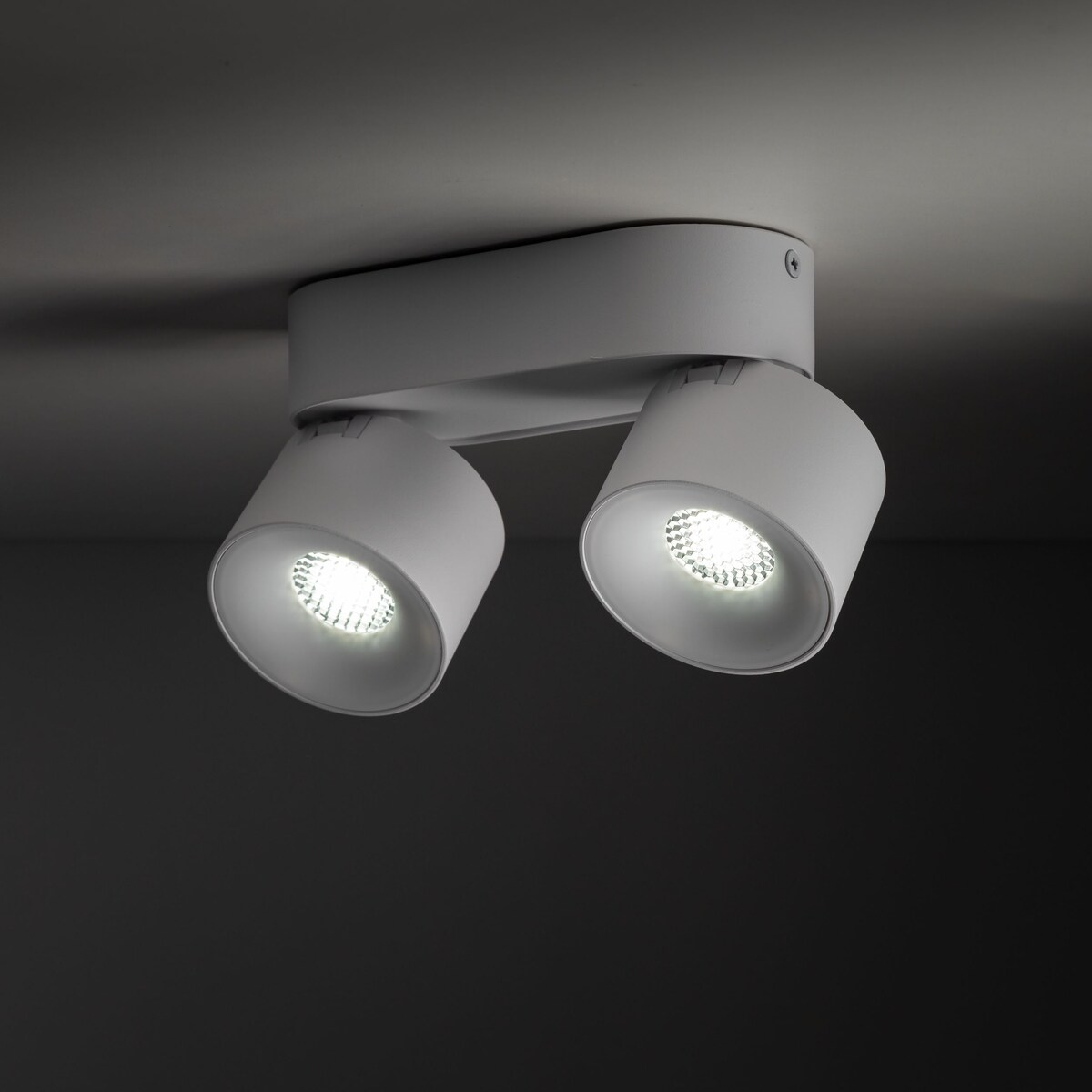 Lampa sufitowa LED TK Lighting SPARK DUO WHITE CCT 20W biała, podwójny reflektor spot regulowany 18171