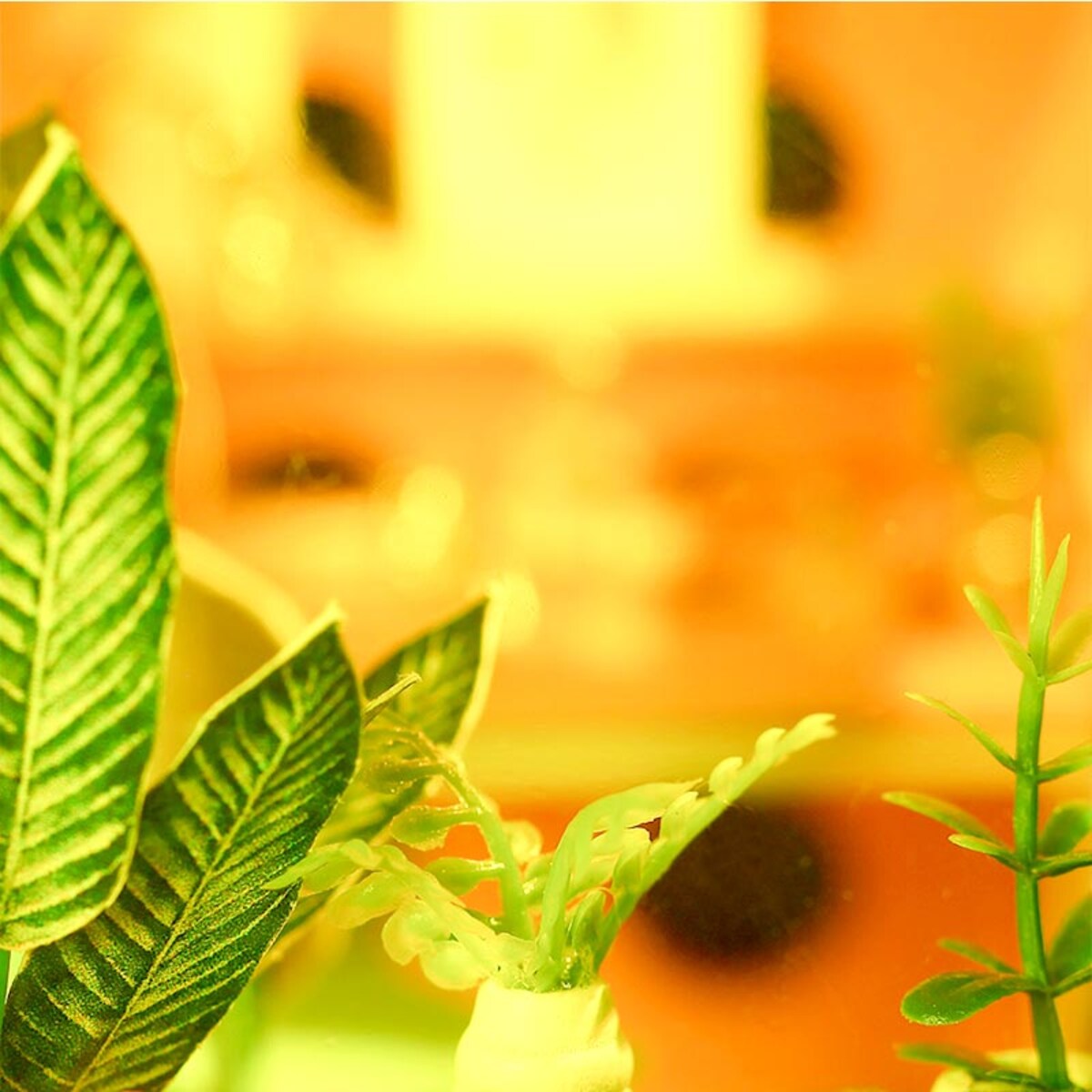 Miniaturowy domek - Przez różowe okulary