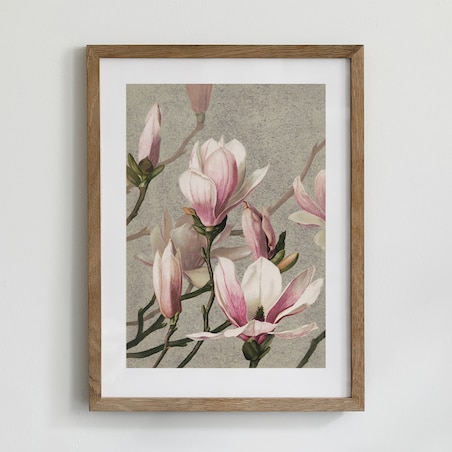 Plakat Magnolia 21x30cm