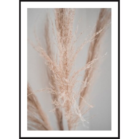 Poster Story, Plakat, Obraz - Naturalna Suszona Trawa Pampasowa, wymiary 50 x 70 cm