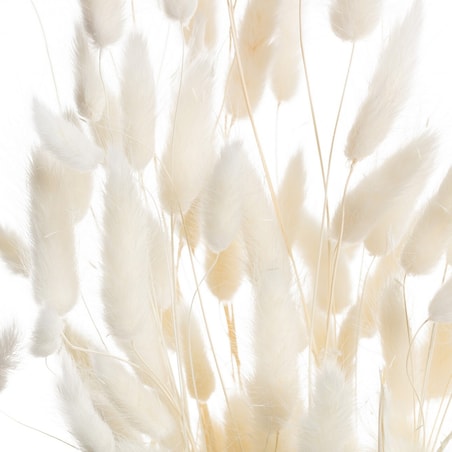 Bukiet Dmuszka 60cm cream, 5 x 5 x 60 cm