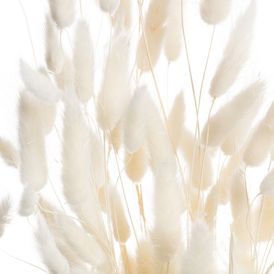 Bukiet Dmuszka 60cm cream, 5 x 5 x 60 cm