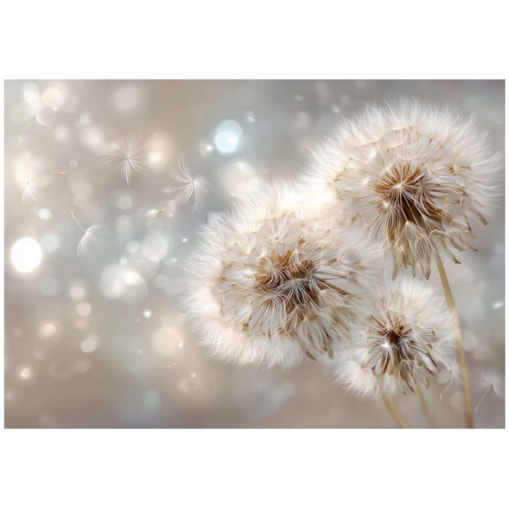 Fototapeta Do Sypialni Salonu Na Flizelinie Dmuchawce Abstrakcja Beżowy 300x210