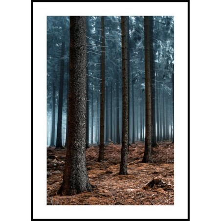 Poster Story, Plakat, Obraz - Tajemniczy Las, wymiary 42 x 60 cm