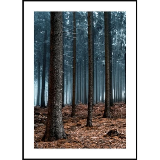 Poster Story, Plakat, Obraz - Tajemniczy Las, wymiary 42 x 60 cm