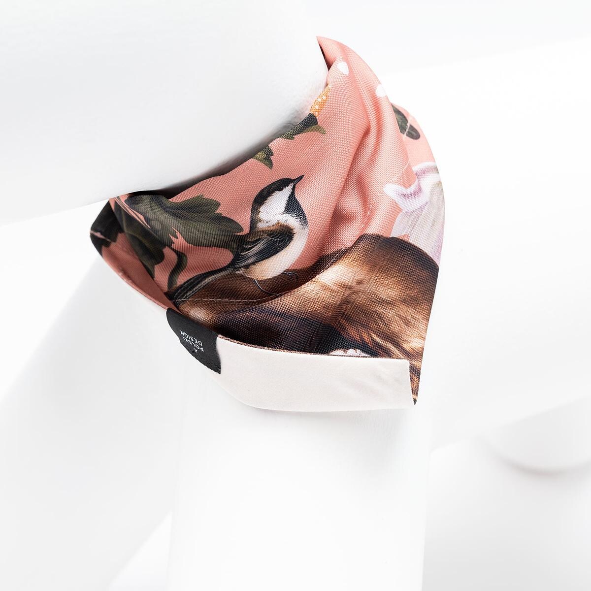 Bandanka "Wie wiórka co dobre" na obrożę - Rozmiar: M, Rodzaj: Do obroży