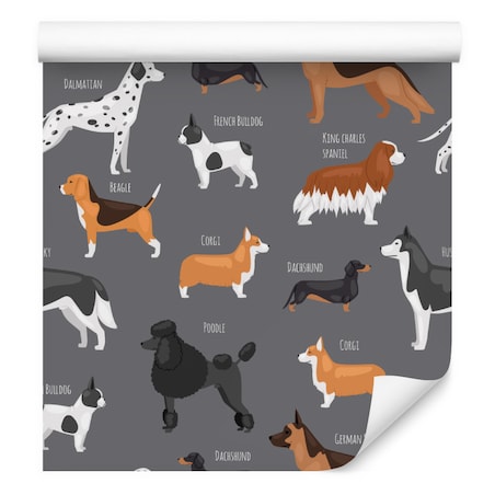 Tapeta Do Pokoju Dziecka Kolorowe PIESKI Napisy