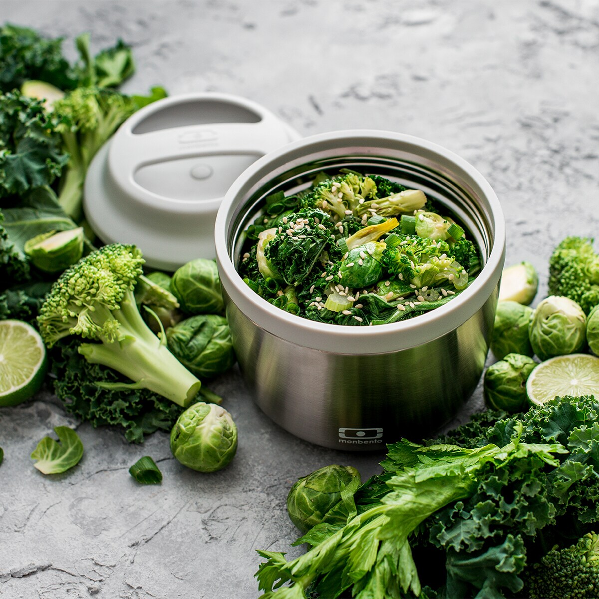 Termos obiadowy NEW Silver Element, 550 ml, Monbento