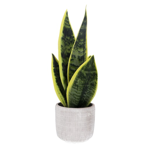 Sztuczny kwiat JAK ŻYWY do wazonu Sansewieria WĘŻOWNICA roślina ZIELONA