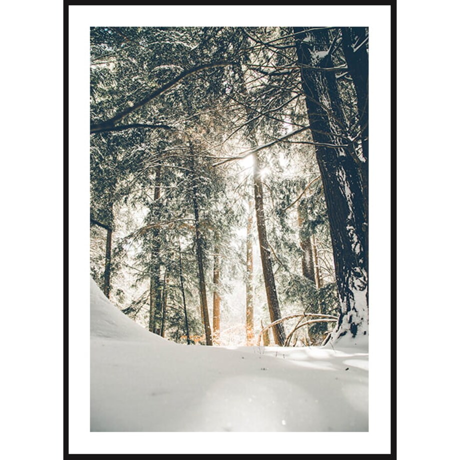 Poster Story, Plakat, Obraz - Zimowy Las z Lotu Ptaka, wymiary 50 x 70 cm