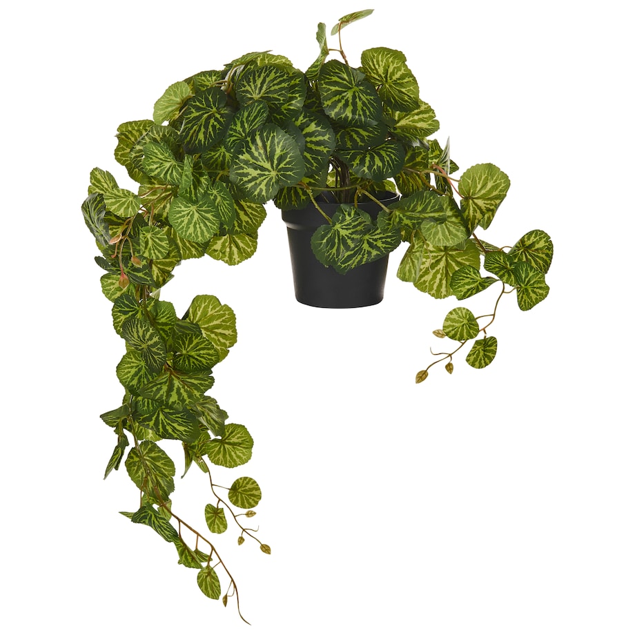 Sztuczna roślina wisząca STRAWBERRY BEGONIA 37 cm Zielony