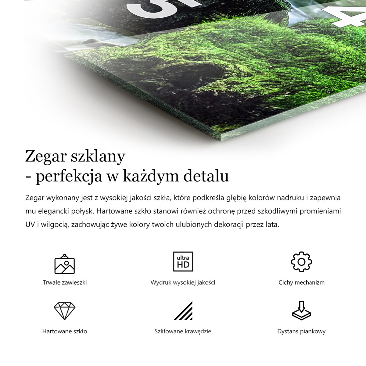 Zegar ścienny Tropikalne Liście, 30x60 cm