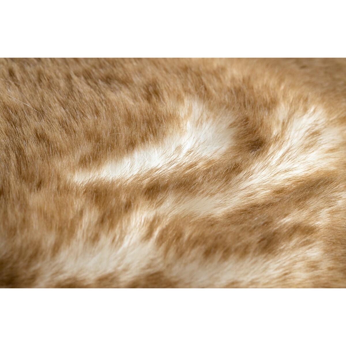 Dywan LAPIN Shaggy koło kość słoniowa / koło 100 cm