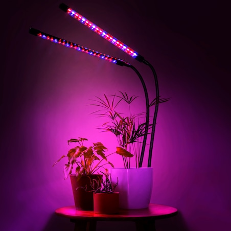 Lampa Led Do Wzrostu Roślin 40 Diod Timer 15 W Uprawa Roślin Do Domu Bez Zasilacza Sieciowego