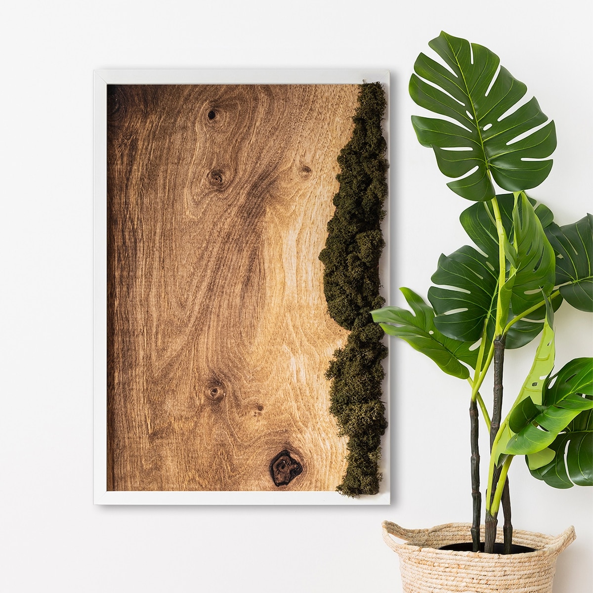 Obraz Dębowa deska naturalna - mech chrobotek w białej ramie 40x60cm