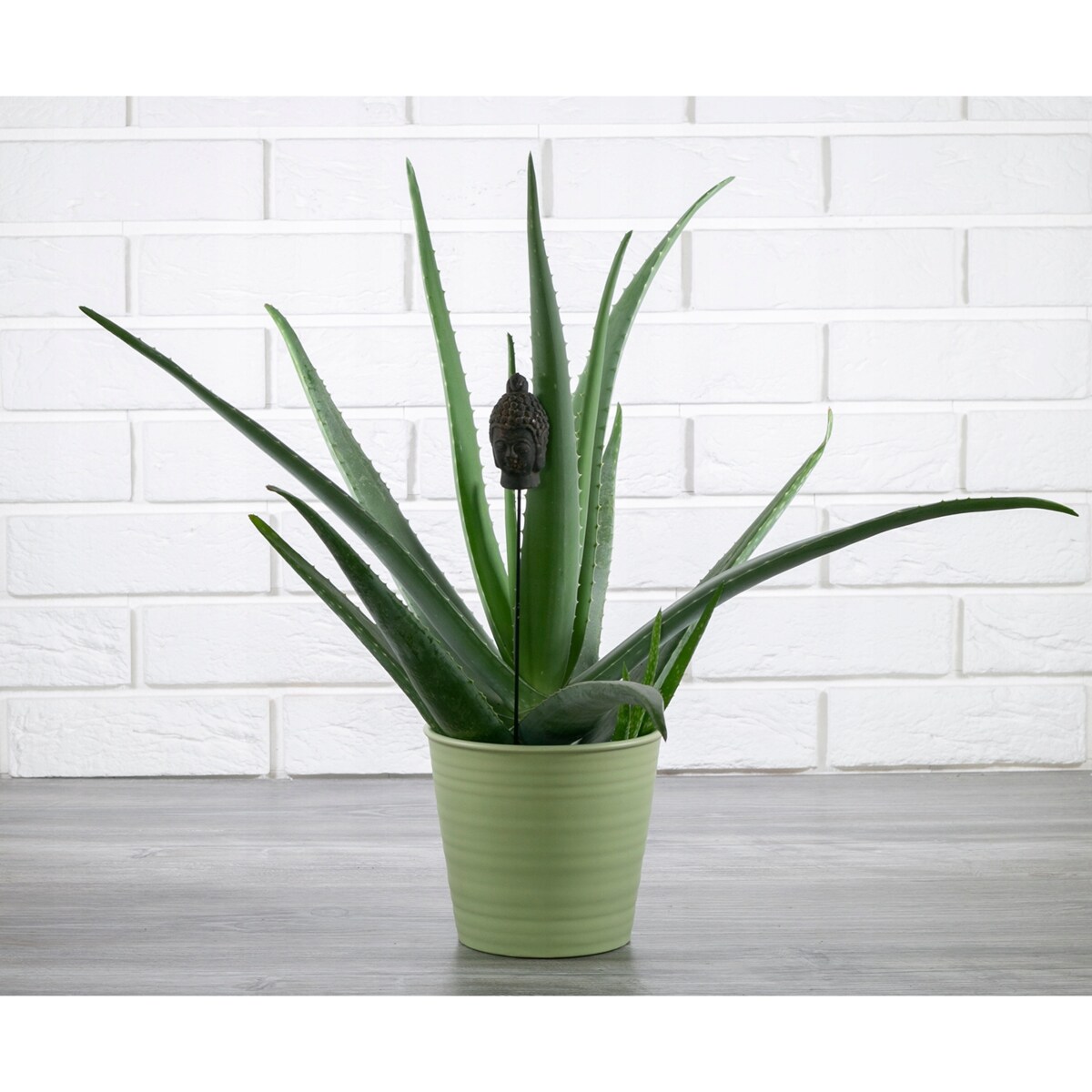 DONICA SPRING zielona, ceramiczna śr. 16cm