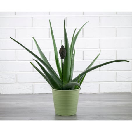 DONICA SPRING zielona, ceramiczna śr. 16cm