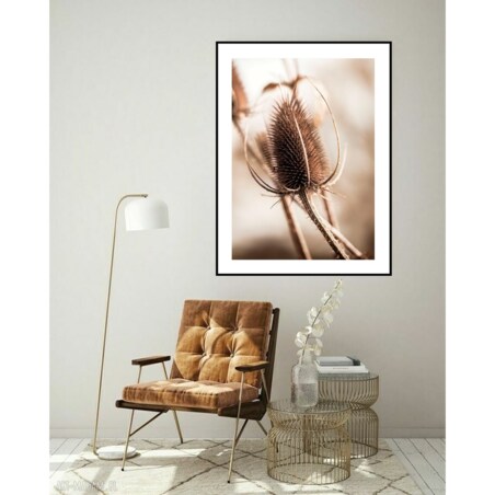 Poster Story, Plakat, Obraz - Oset, wymiary 70 x 100 cm