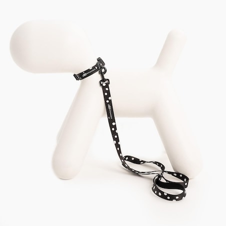 Obroża dla psa lub kota "Psygarnij kropka" - Szerokość taśmy: 38mm, Rozmiar: M