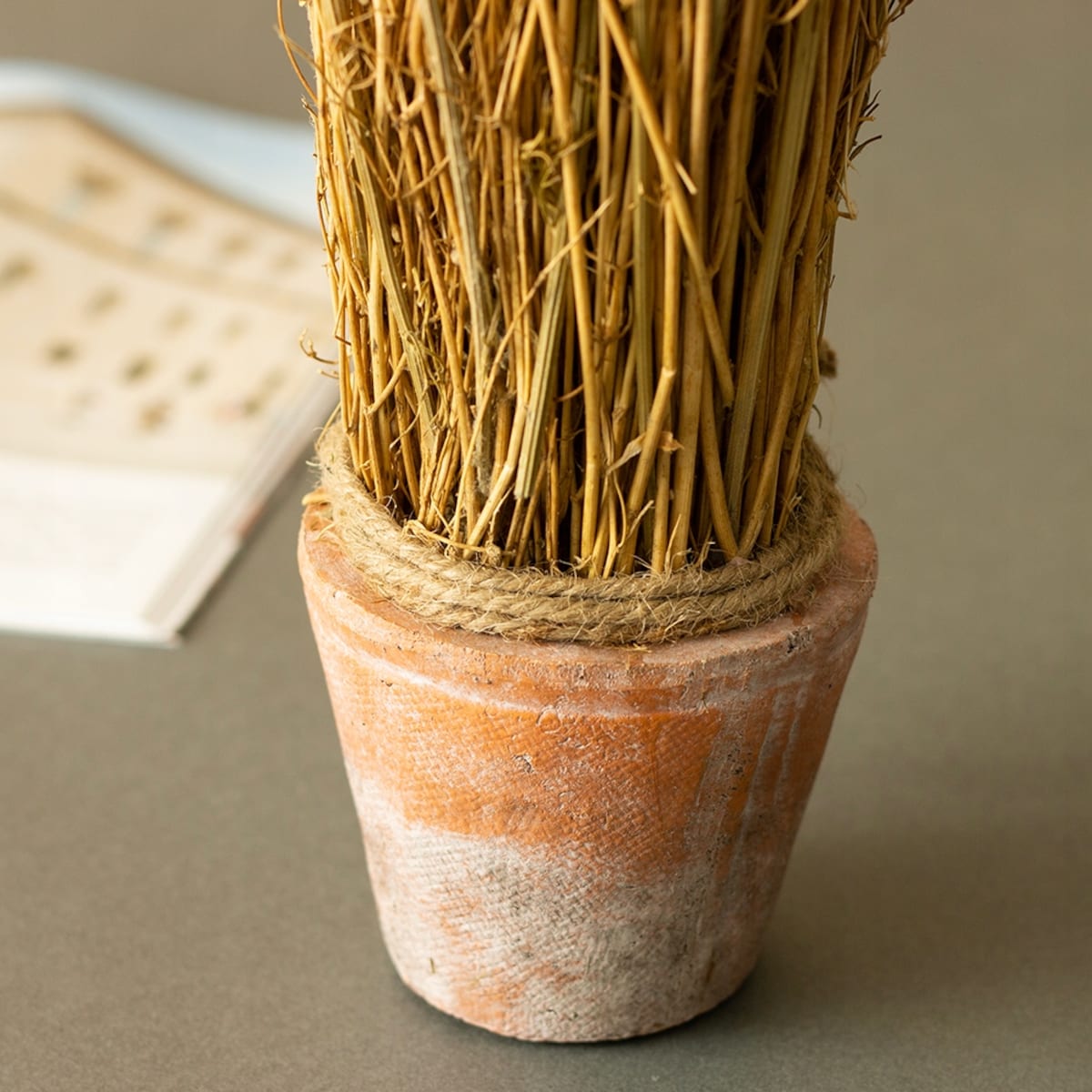 SUSZONA ROŚLINA w doniczce z terakoty wys. 20cm