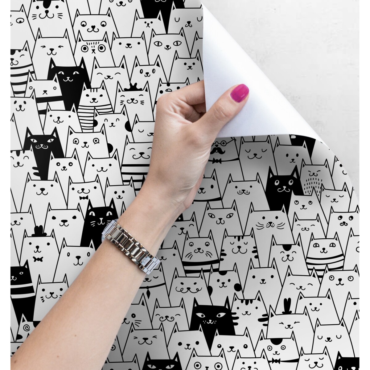 Tapeta Koty czarno-białe, 416x254cm