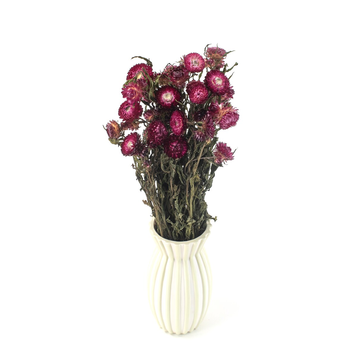 Suszona kocanka ciemnoróżowa (Helichrysum) 80 g - bukiet