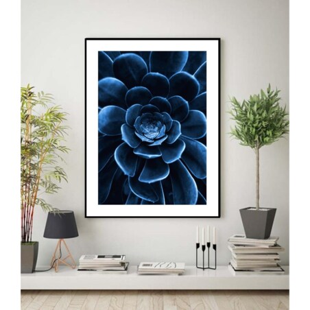 Poster Story, Plakat, Obraz - Niebieski Sukulent, wymiary 70 x 100 cm