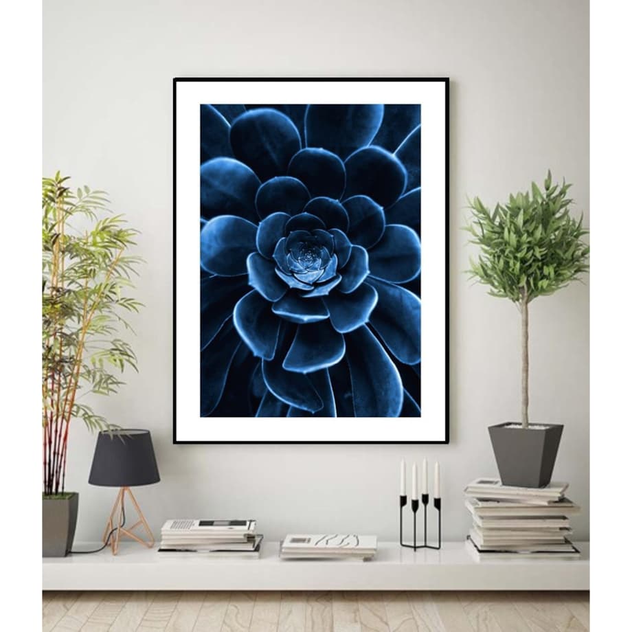 Poster Story, Plakat, Obraz - Niebieski Sukulent, wymiary 70 x 100 cm