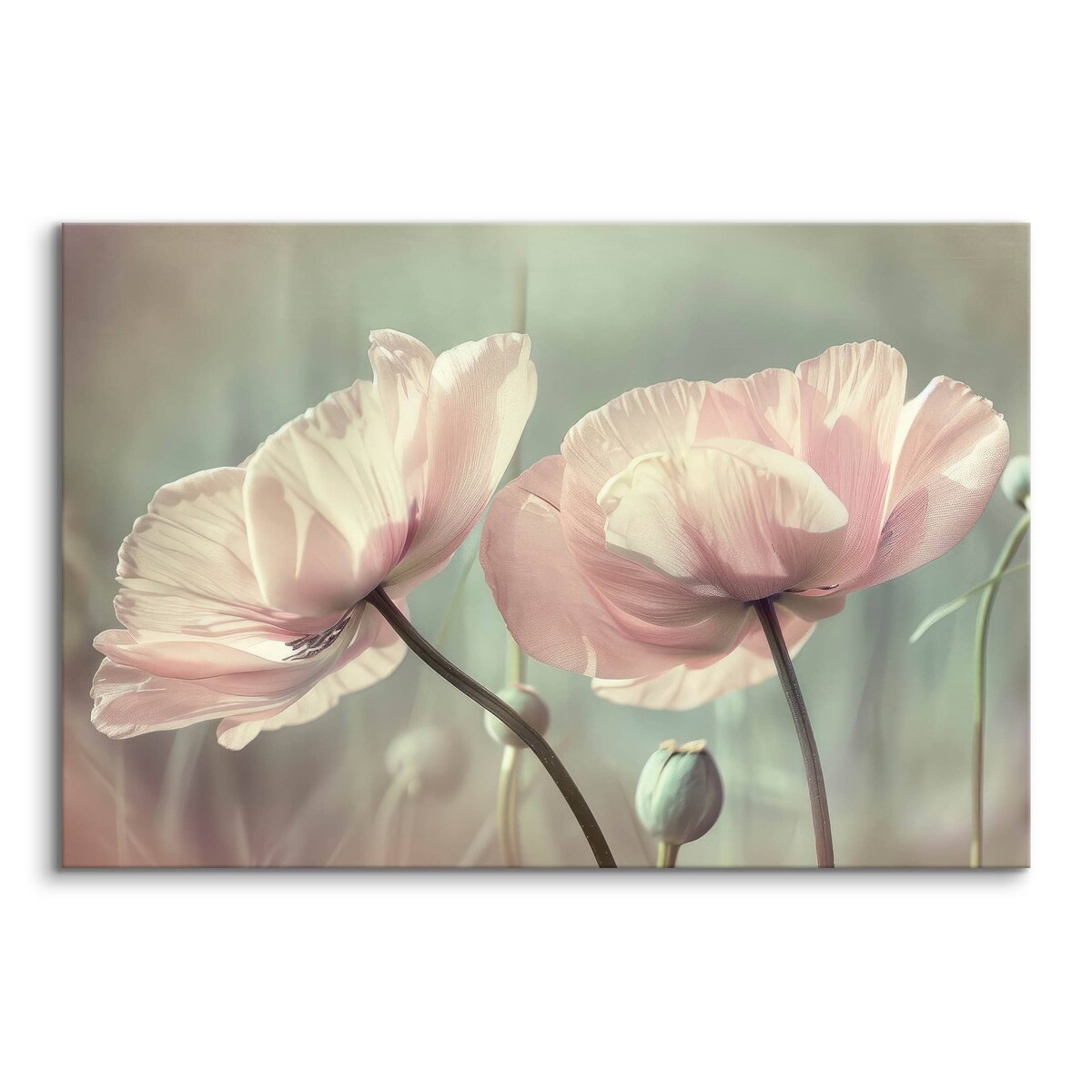 Obraz Na Płótnie Białe Tulipany Kwiaty Natura Rośliny Do Sypialni 70x50cm