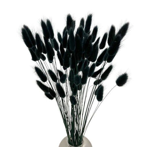 Lagurus Suszony Nero - Dmuszek Jajowaty 70 szt.