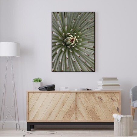 plakat zielona agawa 70x100 cm