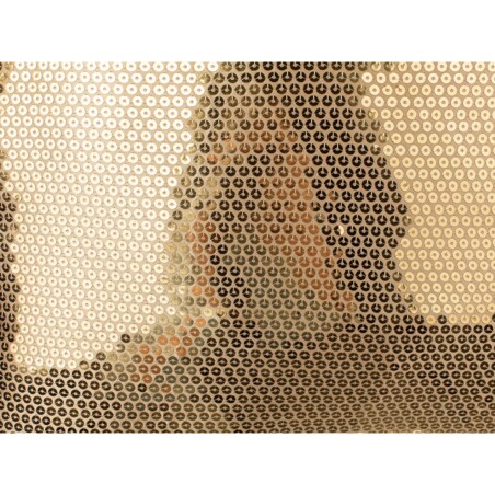 2 poduszki dekoracyjne w cekiny 45 x 45 cm złote ASTER