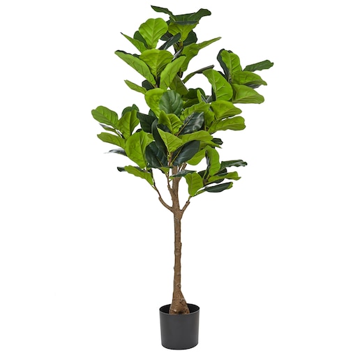 Sztuczna roślina FIG TREE 162 cm Zielony