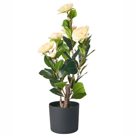 Sztuczna roślina CAMELLIA 60 cm Zielony